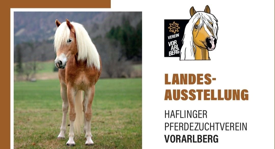 3. Mai 2026 Landesausstellung in Klaus – 70 Jahre Haflingerzuchtverein Vorarlberg!