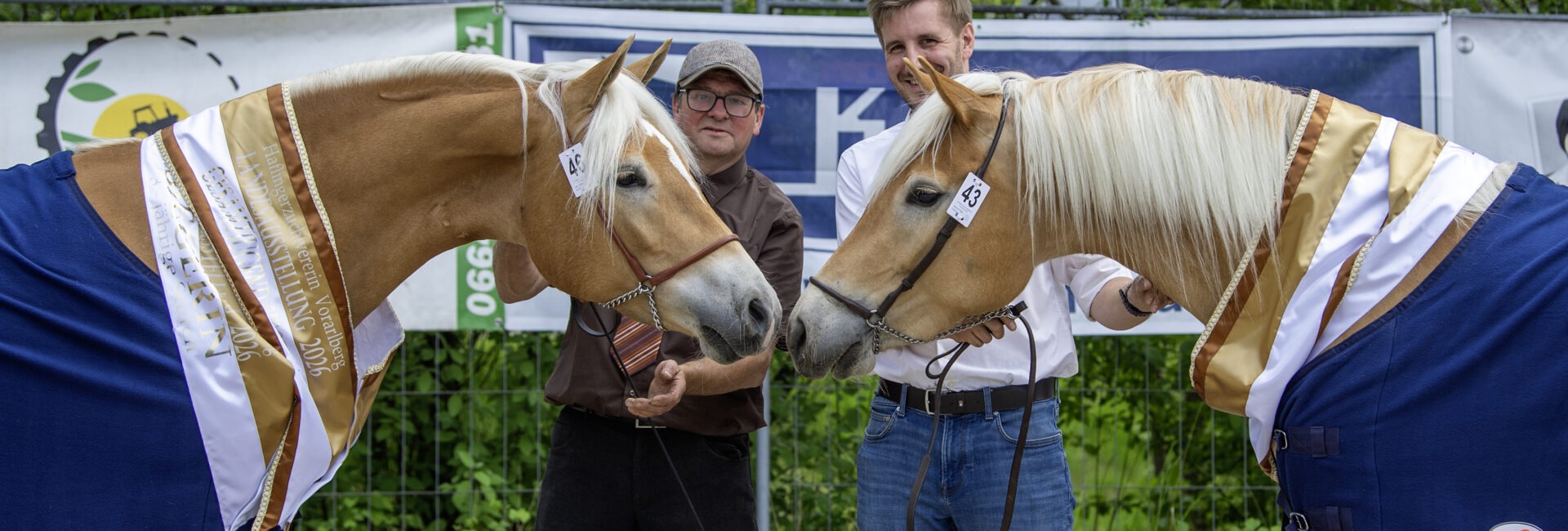 Impressionen zur Landesausstellung –  70 Jahre Haflingerzuchtverein Vorarlberg