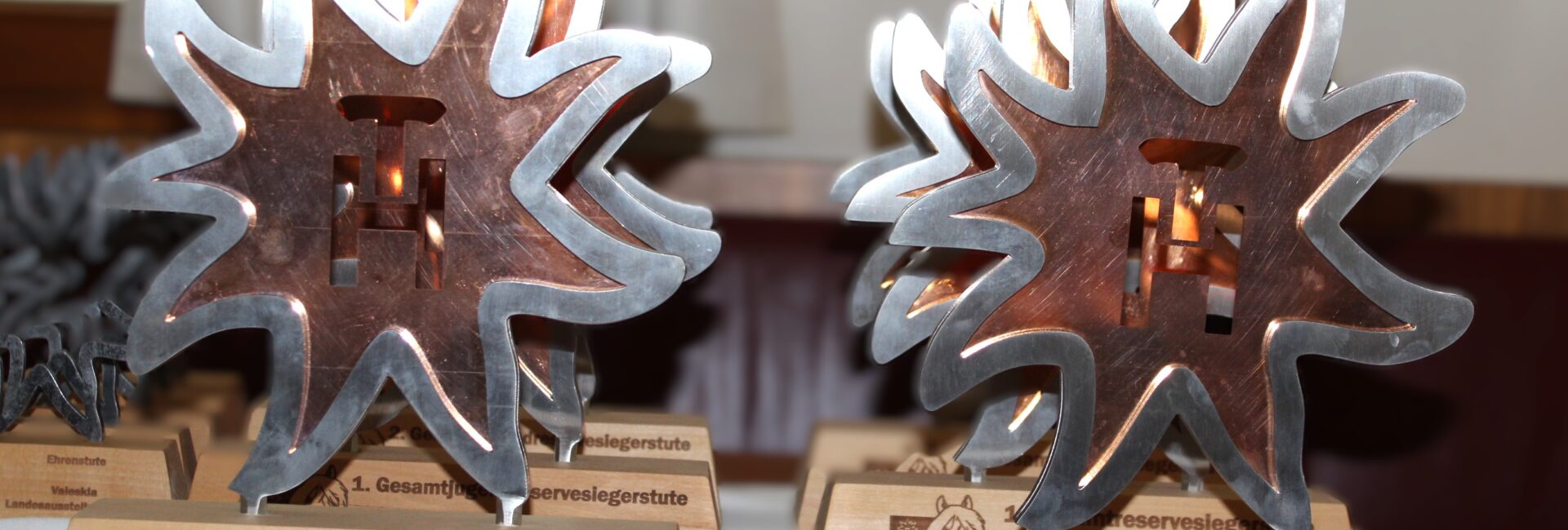 Preisverleihung zur Jubiläumsausstellung