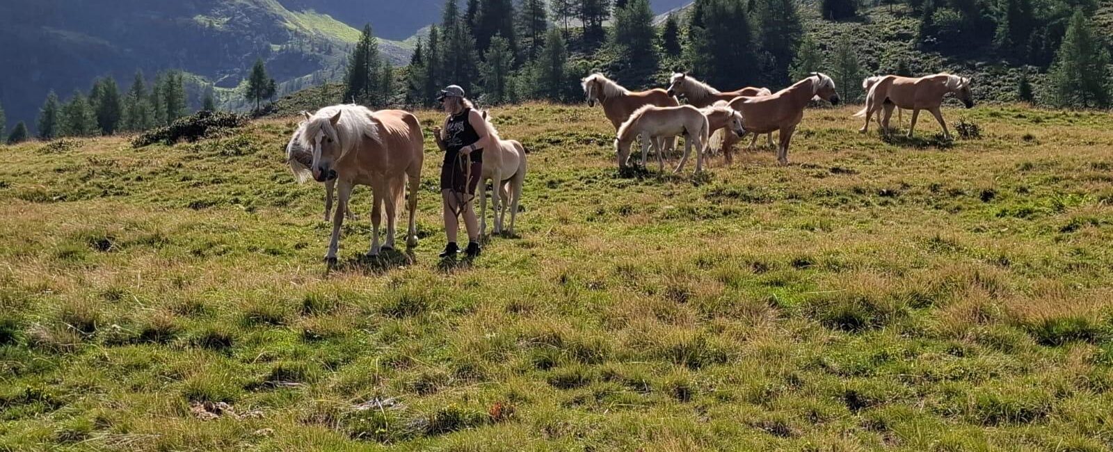 Alpausflug auf die Alpe Rendl